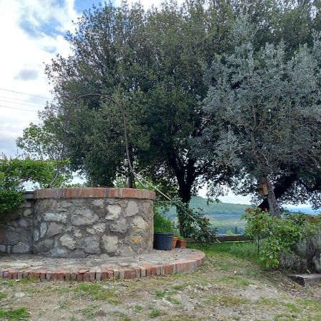 Agriturismo Riparossa Allerona Exterior photo