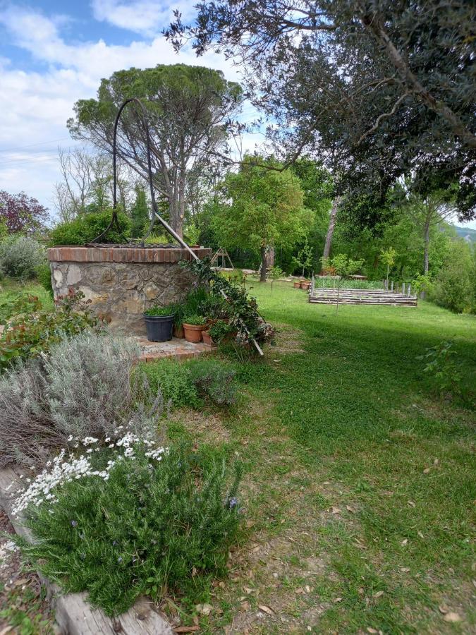 Agriturismo Riparossa Allerona Exterior photo