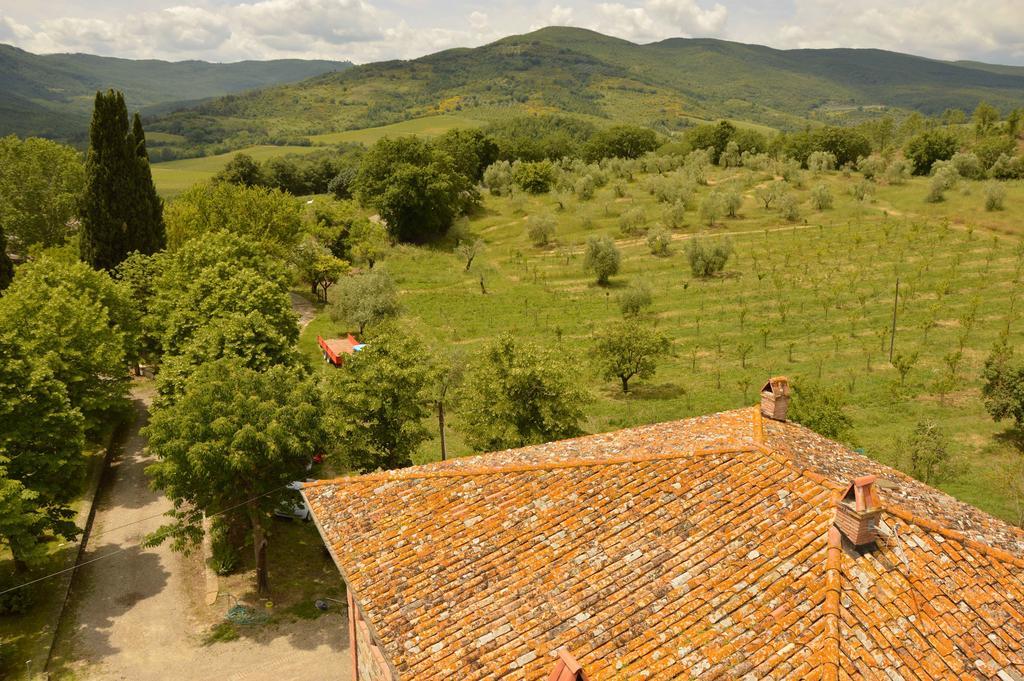 Agriturismo Riparossa Allerona Exterior photo