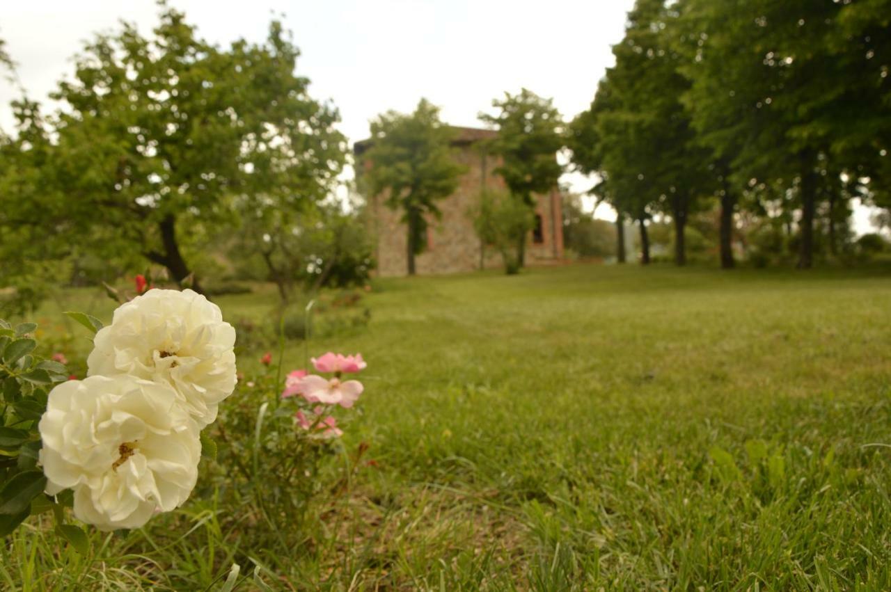 Agriturismo Riparossa Allerona Exterior photo